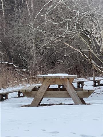 3st parkbänkar 