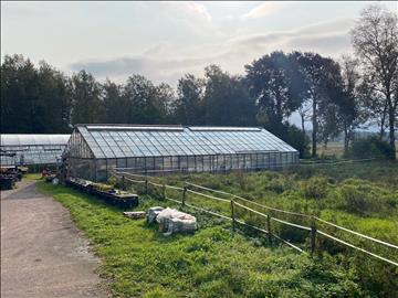 Växthus 200 kvm (10x20 m)